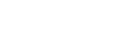 Bold Elephant